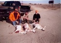 Late season doe antelope.  Opening day, before noon. Dec. 2011